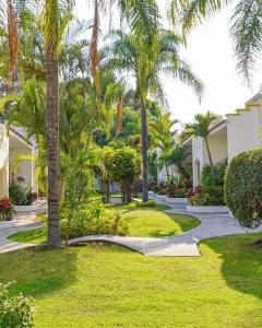 einen Garten mit Palmen und einem Gehweg in der Unterkunft era hc in Cuernavaca