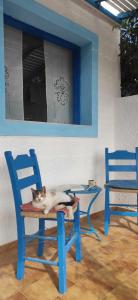 eine Katze, die auf einem Stuhl auf einem Tisch liegt in der Unterkunft Apple apartment in Koutsounári