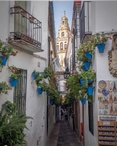 a narrow alley with potted plants and a building at Apartamento Flor de Córdoba in Córdoba