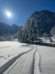 Příroda nedaleko apartmánu + 12 fotografií