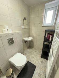 a white bathroom with a toilet and a sink at Apartments Gala Abertamy in Abertamy