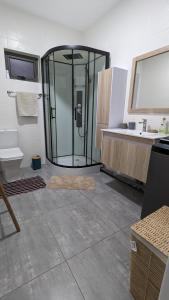 een badkamer met een douche en een wastafel bij Haven Green Village in Grand Gaube