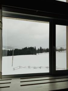 a window with a view of a snow covered field at Kam In in Krivopolʼye