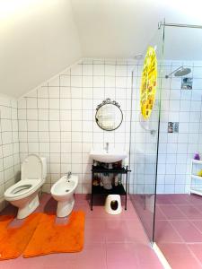 KrivopolʼyeにあるKam Inのバスルーム(トイレ、洗面台、シャワー付)