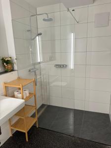 a shower with a glass door in a bathroom at Isaak Apartment Stadtperle in Waldshut-Tiengen