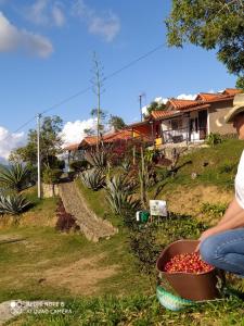 a person sitting next to a pot of tomatoes at Cabañas Cañon Del Chicamocha in Aratoca