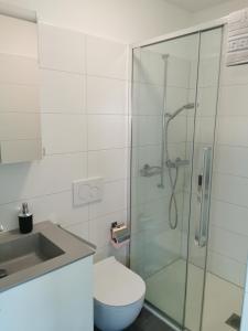 La salle de bains est pourvue d'une douche, de toilettes et d'un lavabo. dans l'établissement La Casa di SaSa, à Arbedo-Castione