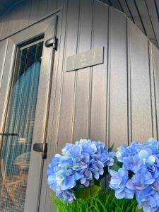 a vase of blue flowers in front of a door at The Sandy Pod in Stornoway