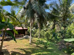 um resort com palmeiras e um edifício em Morakanda Eco Villa em Elpitiya
