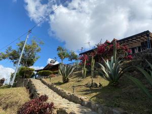 Ein Haus mit einem Haufen Pflanzen davor. in der Unterkunft Cabañas Cañon Del Chicamocha in Aratoca