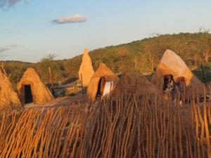 un grupo de camellos en un campo con rocas en ANSTA FARMHOUSE CAMPING & Nursery cc, en Outjo