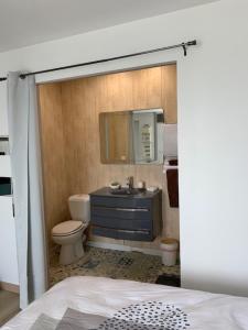 a bathroom with a sink and a toilet and a mirror at Chambre spacieuse lit King Size in Niort