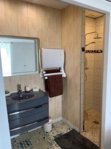 a bathroom with a sink and a mirror at Chambre spacieuse lit King Size in Niort