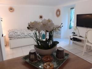 eine Vase mit Blumen auf einem Tisch im Wohnzimmer in der Unterkunft Studio neuf centre ville Quartier Libération in Nizza