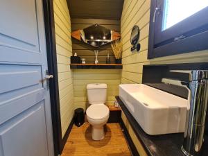 a small bathroom with a toilet and a sink at The Malvern Hills Courtyard Cabins. (Barbara Cabin) in Great Malvern