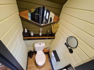 an overhead view of a bathroom with a toilet and a mirror at The Malvern Hills Courtyard Cabins. (Barbara Cabin) in Great Malvern