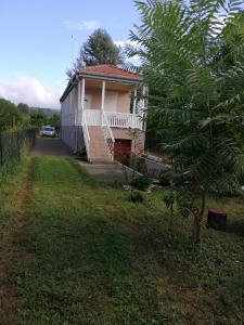 ein Haus mit einem Baum davor in der Unterkunft Apartman Mila in Ostrovo