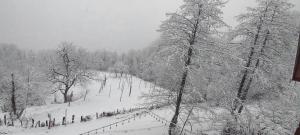 House in the clouds&სახლი ღრუბლებში durante l'inverno