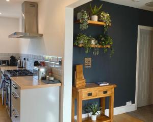 a kitchen with a blue wall with plants on it at Bungalow33 Benllech in Benllech