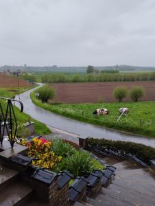 Zahrada ubytování Vakantiehuis 't Leideveld