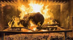 une cheminée à l'intérieur d'un four avec des flammes dans l'établissement Villa Patrizia, à Mostacciano