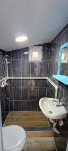 La salle de bains est pourvue d'un lavabo et de toilettes. dans l'établissement Drinski Mir, à Mali Zvornik