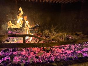 a fire pit with pink flowers in front of it at Villa Patrizia in Mostacciano 