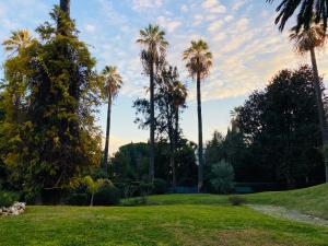 Un jardín fuera de Palais Belle Epoque - Property With Style