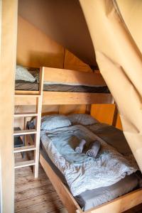 a bed in a bunk room with two bunk beds at Glampingzelt Heide - Lodge in Soltau