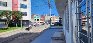 Um homem e um cão a andar numa rua da cidade em Mirador de Santana em Ipiales