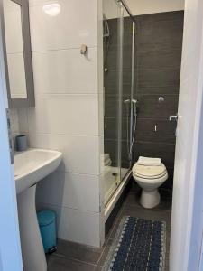 a bathroom with a shower and a toilet and a sink at Rome Appartement in Rome