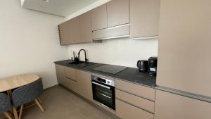 Eldhús eða eldhúskrókur á Mercury Tower Suites