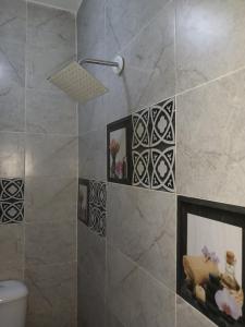 bagno con doccia e quadri appesi alla parete di Pyramids Home Guest House a Il Cairo