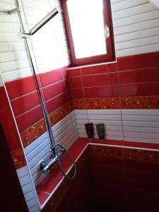 a bathroom with a shower with red and white tiles at La grange de Fermont in Capelle-Fermont