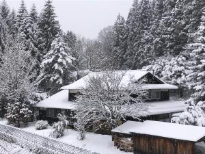 uma casa coberta de neve numa floresta em KOMINKA guest house em Omachi