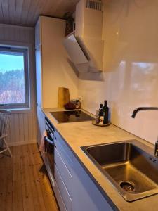 a kitchen with a sink and a counter top at Cosy Holiday Apt Close to Gondola and Town Center in Narvik +48 photos