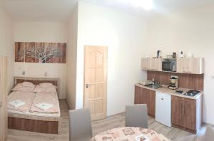 a small room with a bed and a kitchen at Elizabeth Apartman in Makó