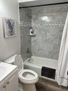 een badkamer met een toilet, een bad en een wastafel bij Peaceful Park 2 Bedroom Remodeled Family Suite in Granite City