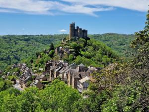 a village with a castle on top of a hill at Gite La Baraque in Najac