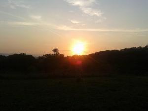 a sunset in a field with the sun in the sky at Hostel Paco House in Monteverde Costa Rica