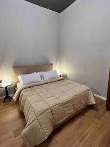 Un dormitorio con una cama en una habitación blanca. en Villa Rroji, en Shkodër