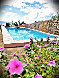 Choiseul的住宿－Desired View，围栏旁的游泳池,有粉红色的花朵