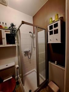 een badkamer met een douche en een toilet bij The Villa Bridlington in Bridlington