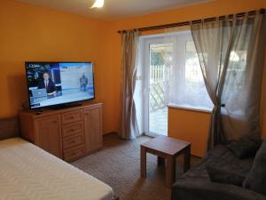 TV a/nebo společenská místnost v ubytování Apartmány U Krumlova