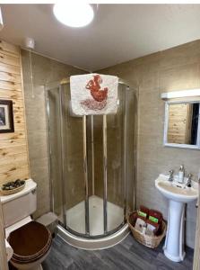 a bathroom with a shower and a toilet and a sink at Robins Rest in Donegal