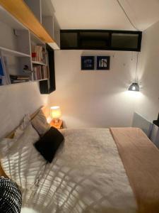 1 dormitorio con 1 cama grande en una habitación en APPARTEMENT avec VUE MONTAGNE en Le Sauze