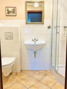een badkamer met een wastafel en een toilet bij Apartamenty Gościnne 54 in Szklarska Poręba