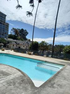 a large swimming pool with palm trees around it at Borde Mar Costa Papudo in Papudo