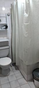 a bathroom with a toilet and a shower curtain at Borde Mar Costa Papudo in Papudo