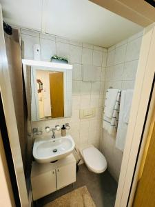 ein kleines Bad mit einem Waschbecken und einem WC in der Unterkunft Casa Moreira in Luzern